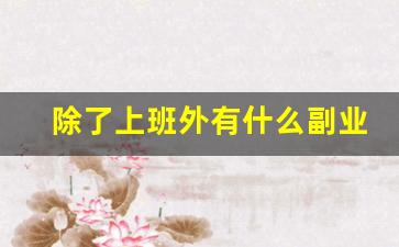 除了上班外有什么副业可以做吗_上班比较清闲,有什么副业可以从事