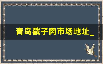 青岛戳子肉市场地址_青岛的海鲜市场在哪里