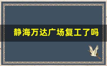 静海万达广场复工了吗_静海有万达或者商场吗