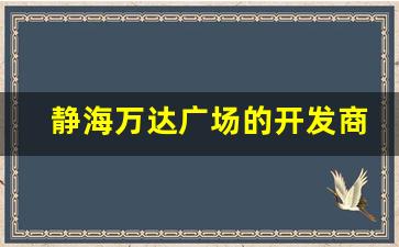 静海万达广场的开发商