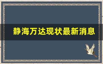 静海万达现状最新消息_万达自在澜湾怎么样