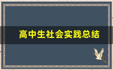 高中生社会实践总结