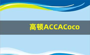 高顿ACCACoco老师