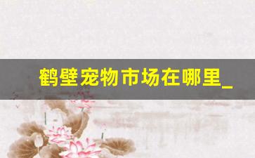 鹤壁宠物市场在哪里_鹤壁市最大的批发市场