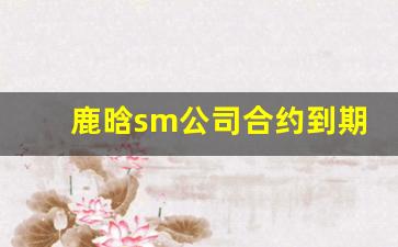 鹿晗sm公司合约到期时间_鹿晗还是sm公司的吗