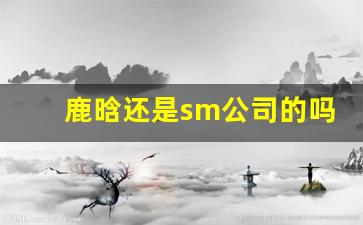 鹿晗还是sm公司的吗_鹿晗公司经纪公司